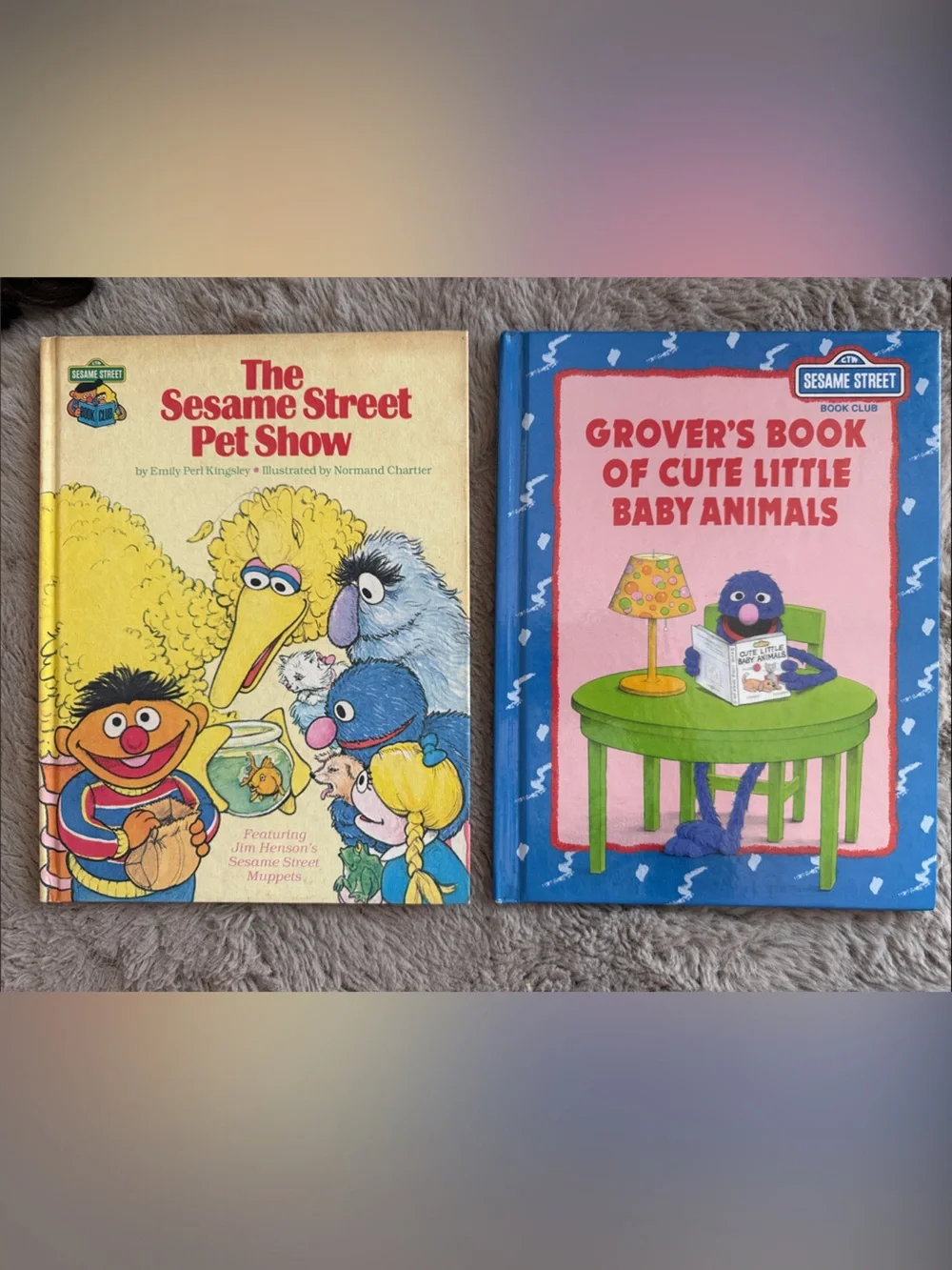 Vintage 1980 The Sesame Street Pet Show Storybook Hardcover Picture Book & Bonus